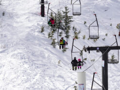 bogus basin