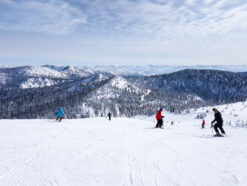 whitefish mountain